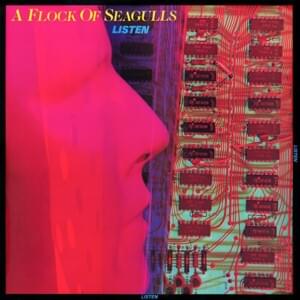 The Traveller - A Flock of Seagulls