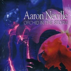 For Your Precious Love - Aaron Neville