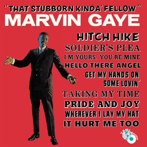 Stubborn Kind of Fellow - Marvin Gaye