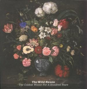 Lost At Sea - The Wild Swans