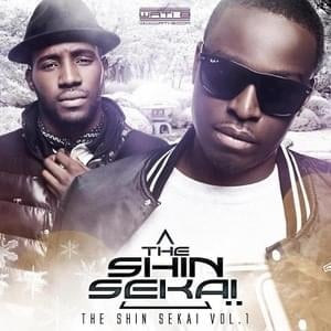 Rappelle Toi - The Shin Sekaï (Ft. Black M)