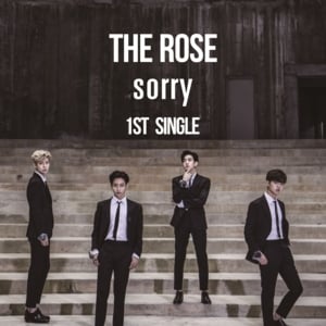 Sorry - The Rose (더 로즈)