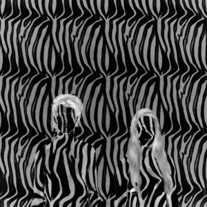 Zebra (UK Radio Edit) - Beach House