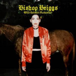 Wild Horses (Acoustic) - Bishop Briggs