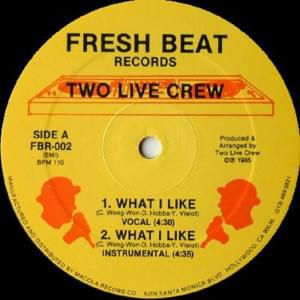 What I Like - 2 Live Crew