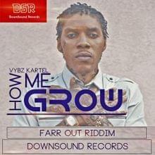 How Me Grow (Remastered) - Vybz Kartel