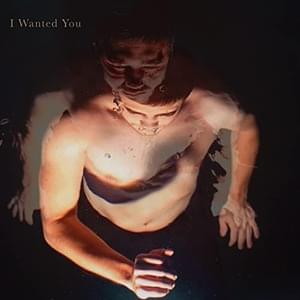 I Wanted You - Roe Kapara