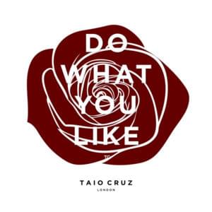 Do What You Like - Taio Cruz