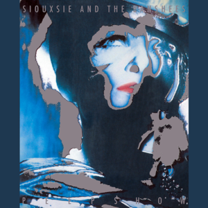 Turn to Stone - Siouxsie and the Banshees