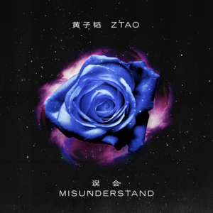 Misunderstand (误会) - Z.TAO