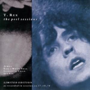 Elemental Child [The Peel Sessions] - T. Rex