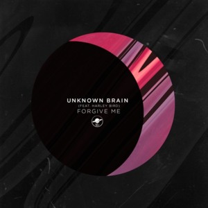 Forgive Me - Unknown Brain (Ft. Harley Bird)