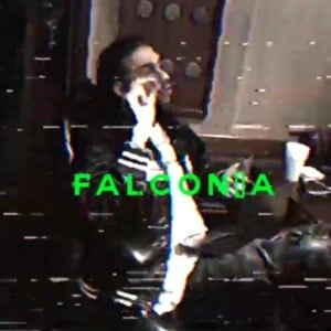 FALCONIA - Robb Bank$