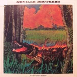 Fire on the Bayou - The Neville Brothers