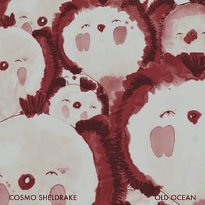 Old Ocean - Cosmo Sheldrake