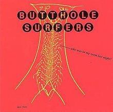 Who Was in My Room Last Night? - Butthole Surfers