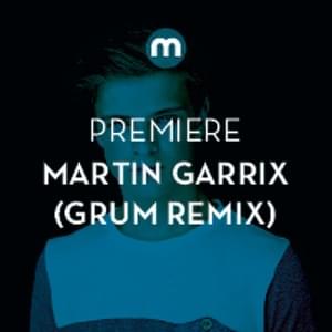 Animals (Grum Remix) - Martin Garrix