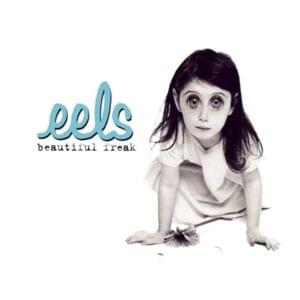 My Beloved Monster - Eels