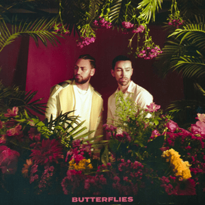 BUTTERFLIES - MAX & Ali Gatie