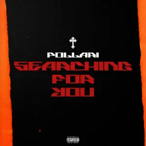 Searching For You - Pollari