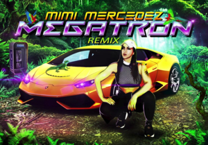 Megatron - Mimi Mercedez