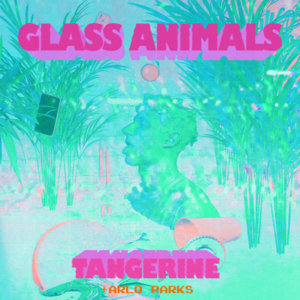 Tangerine (Remix) - Glass Animals (Ft. Arlo Parks)