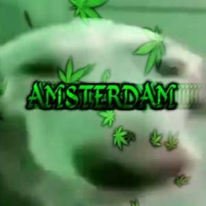 AMSTERDAM - lungskull