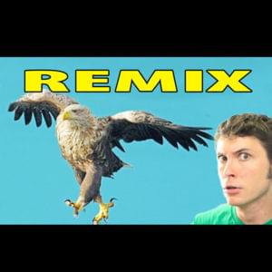 I’m a Bird Motha’ f***** Remix - Tobuscus