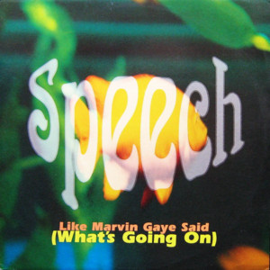 Like Marvin Gaye Said (What’s Going On) - Speech