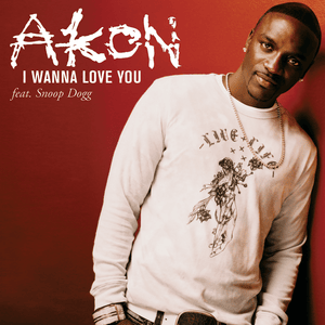 I Wanna Love You - Akon (Ft. Snoop Dogg)