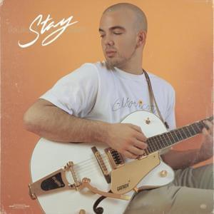 Stay - Mac Ayres (Ft. Chris Anderson & Jack Dine)