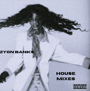 Luxury (Zyon Banks Mix) - Zyon Banks (Ft. Azealia Banks)