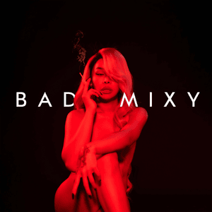 โอ้ละหนอไอ้แฟนเก่า (Comeback To Me) - BADMIXY (Ft. Sin (THA))