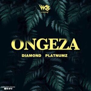 Ongeza - Diamond Platnumz