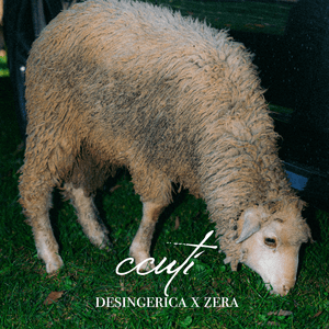 CCuti - Desingerica & Zera