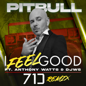 I Feel Good (71 Digits Remix) - Pitbull (Ft. Anthony Watts & DJ White Shadow)