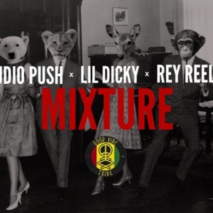 Mixture - Audio Push (Ft. Lil Dicky & Rey Reel)