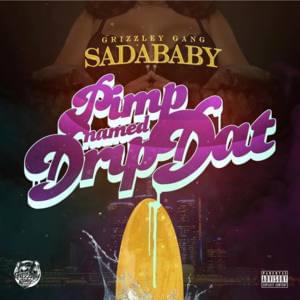 Pimp Named Drip Dat - Sada Baby