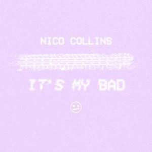 It’s My Bad - Nico Collins