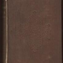 The Blithedale Romance (Chap. 23) - Nathaniel Hawthorne