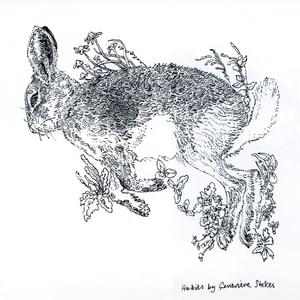 Habits (Demo) - Genevieve Stokes