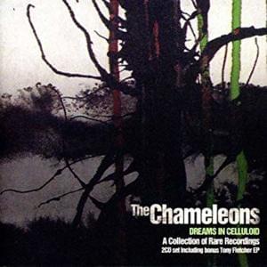 Turn to the Vices - The Chameleons