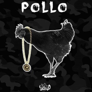 Pollo - BPR SQVAD