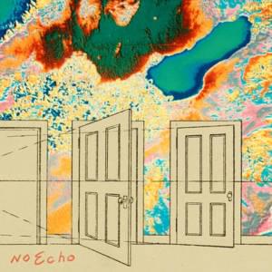 ​no echo - Orchid Mantis