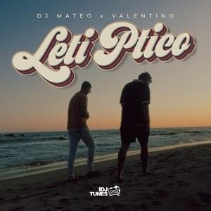 Leti ptico - DJ Mateo & Valentino