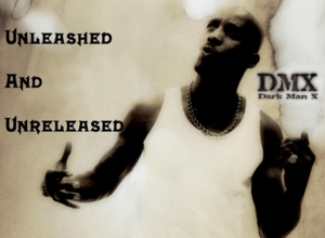 Freestyle - DMX