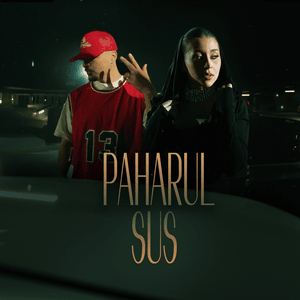 Paharul sus - Nicole Cherry & Puya