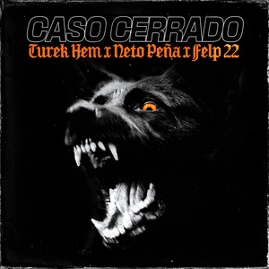 Caso Cerrado - Turek Hem, Neto Peña & Felp 22