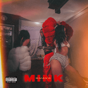 Mink - Quavo