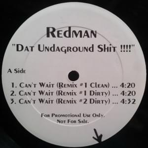 Can’t Wait (Remix #2 Dirty) - Redman